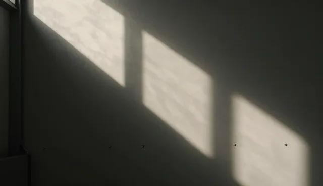 能力建设中的成果转化适用情况与限制